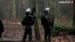 NOTRE DAME DES LANDES : un regard inside