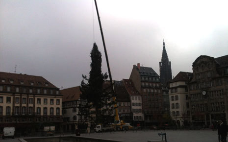 ET A STRASBOURG. UN SAPIN COUPE A 150 000 EUROS