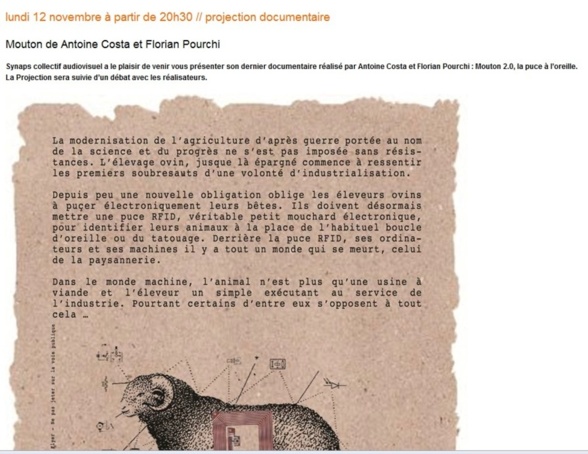 POLL'n / POLE ARTISTIQUE : CE MOIS DE NOV.