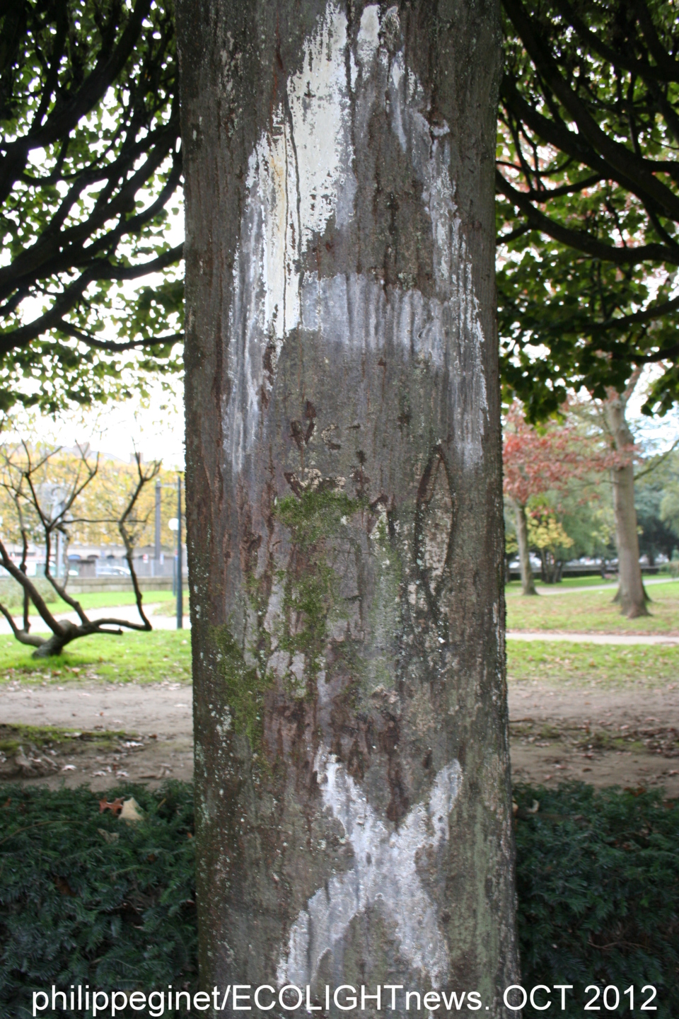 A + POUR ACTION A + POUR ACTION