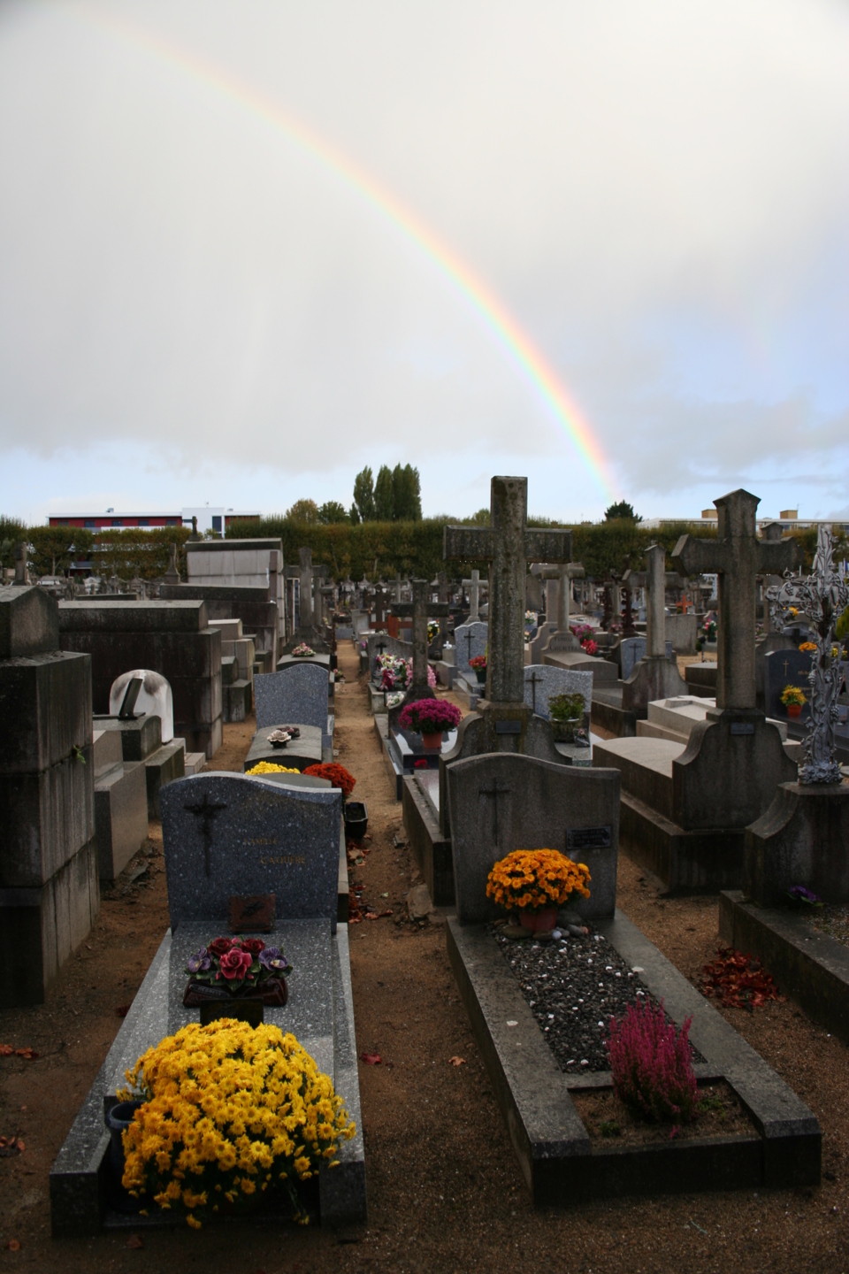 philippeginet/saunderson 2012 philippeginet/saunderson 2012