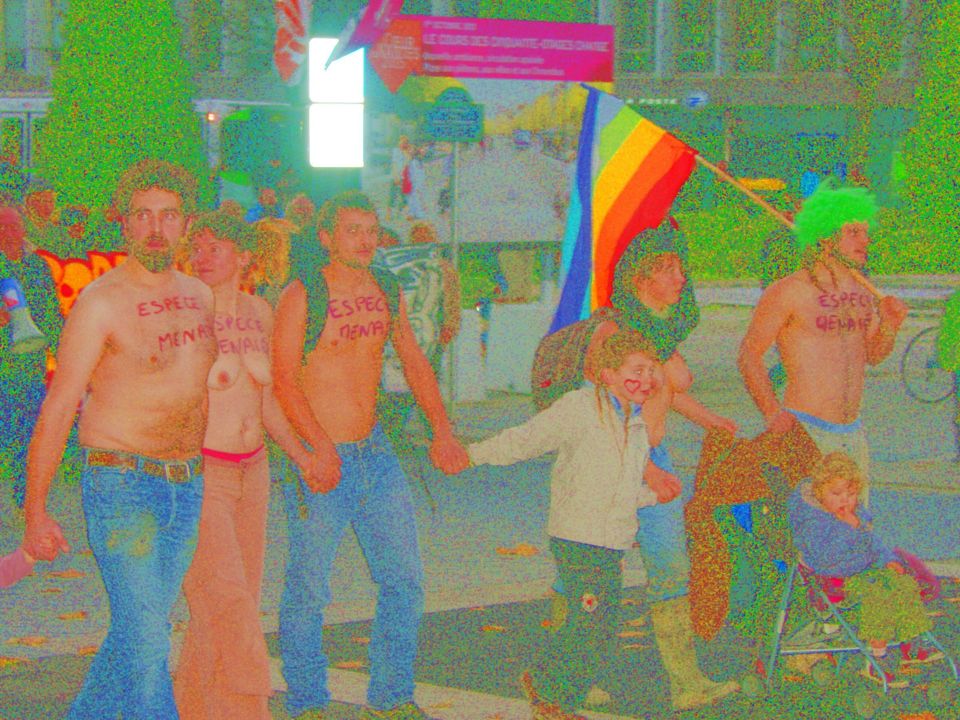 NOTRE DAME DES LANDES : MANIF A NANTES, 24 11 2012