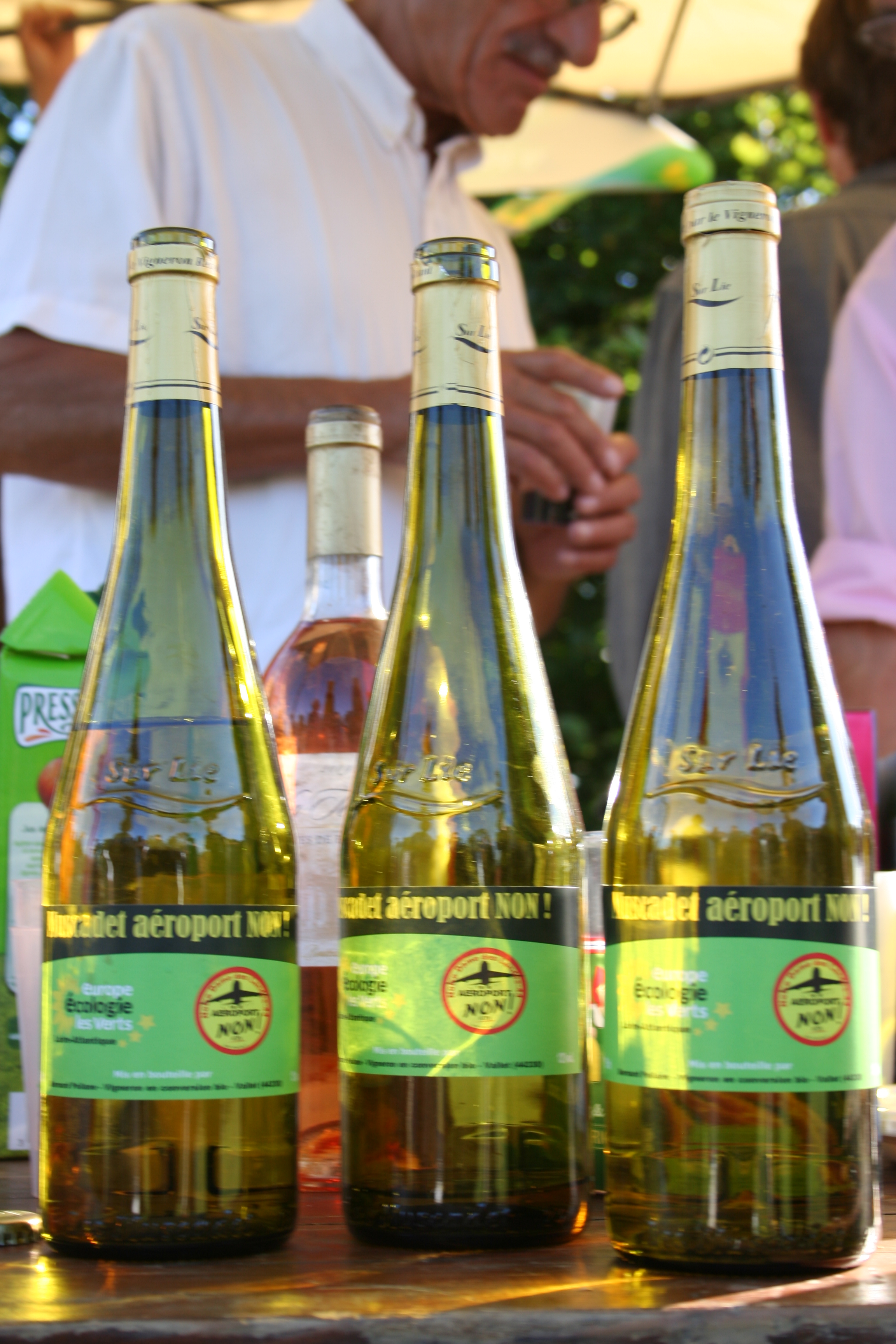 EELV : Sandrine Bélier, Karima Delli... en Loire-Atlantique EELV : Sandrine Bélier, Karima Delli... en Loire-Atlantique