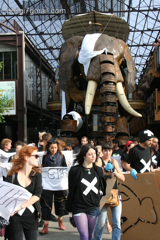 L'éléphant blessé. Les Nefs L'éléphant blessé. Les Nefs