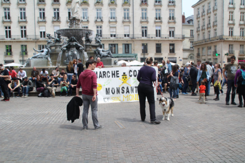 Marche contre MONSANTO à ‪#‎Nantes