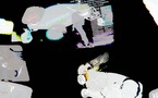 LES ECOLOS CES DROLES D'ANIMAUX