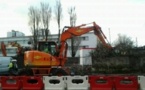 NANTES : ABATTAGE D'ARBRES EN VILLE