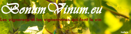 Bonum Vinum, les vignerons et vigneronnes qui font le vin Bonum Vinum, les vignerons et vigneronnes qui font le vin