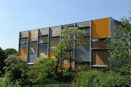 Animations sportives pour inaugurer le gymnase de Port-au-Blé Animations sportives pour inaugurer le gymnase de Port-au-Blé