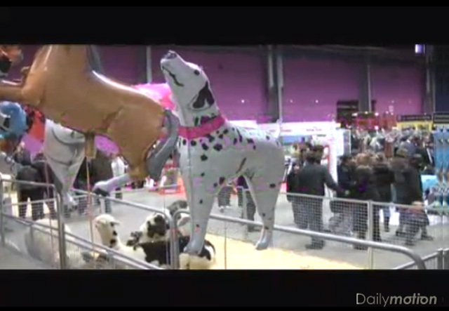 Salon du chiot à la Troc'