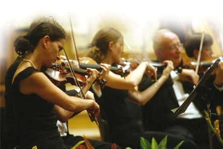 L'Orchestre National des Pays de la Loire en concert ! L'Orchestre National des Pays de la Loire en concert !