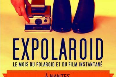 EXPOLAROID • • • EXPOLAROID • • •