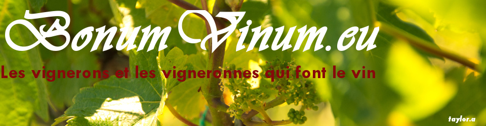 Bonum Vinum, les vignerons et vigneronnes qui font le vin Bonum Vinum, les vignerons et vigneronnes qui font le vin