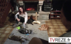 Change de job n°5 : l'élevage des Maine Coon
