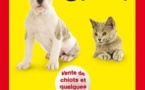 Salon du chiot à la Trocardière