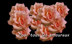 A tous les amoureux : bon marketing day !