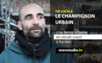 Le Champignon Urbain 