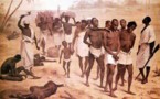 LIVE à 13h30 : De l'école au musée : l'enseignement de la traite des noirs et de l'esclavage