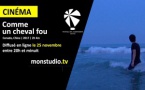 Festival des 3 continents [ VOIR OU REVOIR #8 ]
