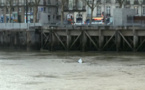Incroyable : un frigidaire dans la Loire, le jour du lancement de Green Capitale !