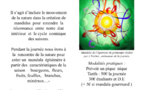 Journée Mandala du Printemps 2015