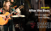 After the bees - groupe invité de Shake Skake Shake !