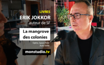 Erik Jokkor : la mangrove des colonies