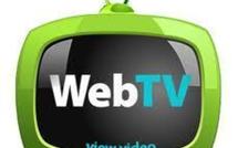 Réunion de travail - en vue de la préparation d'une journée thématique sur les WebTV, le 7 juin à Nantes