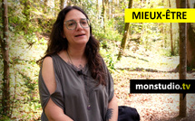 Sylvothérapie : et si ralentir commençait simplement par entrer dans une forêt ?